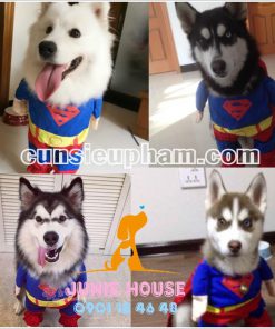 Cunsieupham.com - facebook.com/juniehouse.petshop - Chuyên cung cấp các sản phẩm đẹp - độc - lạ cho cún