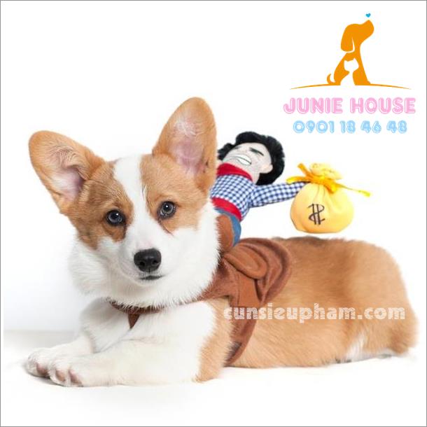Quần áo siêu nhân Junie House - Trang phục hiệp sĩ cao bồi cho chó - Đồ Minions - Đò cướp biển cho chó