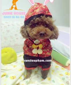 Quần áo siêu nhân Junie House - Đồ tết cho chó mèo - Trang phục hiệp sĩ cao bồi cho chó - Đồ Minions - Đồ cướp biển cho chó
