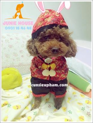 Quần áo siêu nhân Junie House - Đồ tết cho chó mèo - Trang phục hiệp sĩ cao bồi cho chó - Đồ Minions - Đồ cướp biển cho chó