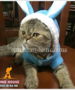 Quần áo tai thỏ cho chó mèo - trang phục siêu nhân Junie House - Trang phục hiệp sĩ cao bồi cho chó - Đồ Minions - Đò cướp biển cho chó