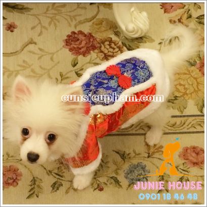 Quần áo tết cho chó mèo - trang phục siêu nhân Junie House - Trang phục hiệp sĩ cao bồi cho chó - Đồ Minions - Đồ cướp biển cho chó