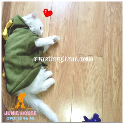 Quần áo khủng long cho chó mèo - quần áo tết cho chó mèo - trang phục siêu nhân Junie House - Trang phục hiệp sĩ cao bồi cho chó - Đồ Minions - Đồ cướp biển cho chó