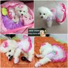 VÁY CÔNG CHÚA CHO CHÓ MÈO (VÁY HỒNG CHẤM BI)