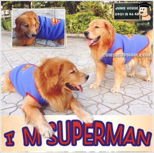 Junie House chuyên cung cấp trang phục cosplay cho chó mèo như áo Adidog có mũ, hiệp sĩ cao bồi, trang phục Superman, Cướp biển, áo superman cho chó lớn... Hotline 0901 18 46 48
