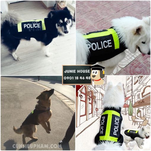 Junie House chuyên cung cấp trang phục cosplay cho chó mèo như áo Adidog có mũ, hiệp sĩ cao bồi, trang phục Superman, Cướp biển, áo police dog cho chó lớn... Hotline 0901 18 46 48