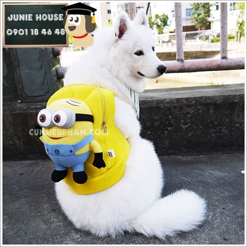 Junie House chuyên cung cấp trang phục cosplay cho chó mèo như áo Adidog có mũ, hiệp sĩ cao bồi, trang phục Superman, Cướp biển, ba lo minions cho chó lớn... Hotline 0901 18 46 48