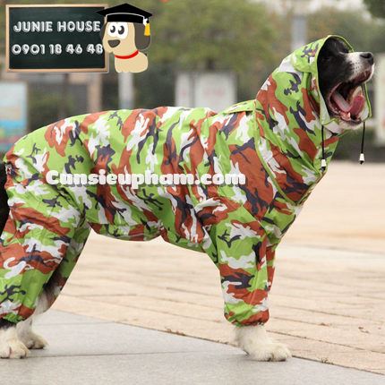 Junie House chuyên cung cấp trang phục cosplay cho chó mèo như áo Adidog có mũ, hiệp sĩ cao bồi, trang phục Superman, Cướp biển, áo mưa cho chó lớn... Hotline 0901 18 46 48