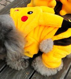 Junie House chuyên cung cấp trang phục cosplay cho chó mèo như áo Adidacog có mũ, hiệp sĩ cao bồi, trang phục Superman, Cướp biển, áo pikachu cho chó mèo... Hotline 0901 18 46 48