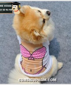 Junie House chuyên cung cấp quần áo, phụ kiện cho thú cưng: Trang phục superman, cướp biển, minions, áo thun bikini cho chó mèo | 0901.18.46.48