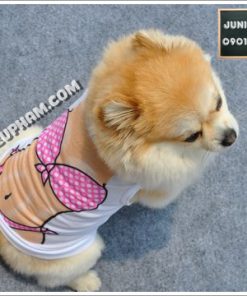 Junie House chuyên cung cấp quần áo, phụ kiện cho thú cưng: Trang phục superman, cướp biển, minions, áo thun bikini cho chó mèo | 0901.18.46.48