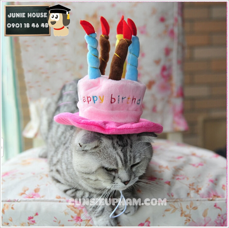 Bánh gato sinh nhật chó Pug ngộ nghĩnh cho các bé tuổi Tuất 5665  Bánh sinh  nhật kỷ niệm
