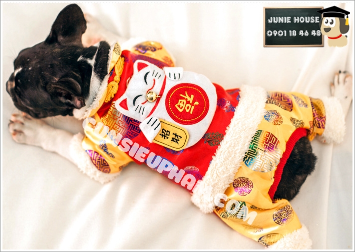 Junie House chuyên cung cấp quần áo cho chó, quần áo chó mèo, đồ chơi cho chó mèo, phụ kiện cho chó mèo, đồ tết mèo may mắn cho chó mèo... Hotline 0901 18 46 48