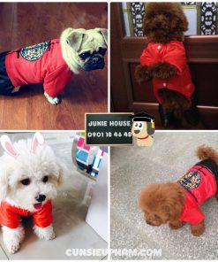Junie House chuyên cung cấp quần áo cho chó, quần áo chó mèo, đồ Noel cho chó mèo, phụ kiện cho chó mèo, đồ tết truyền thống cho chó mèo. Hotline 0901184648