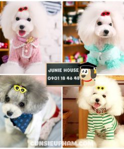 Junie House chuyên cung cấp quần áo cho chó, quần áo chó mèo, đồ chơi cho chó mèo, phụ kiện cho chó mèo, kẹp tóc kính mát cho chó mèo... Hotline 0901 18 46 48