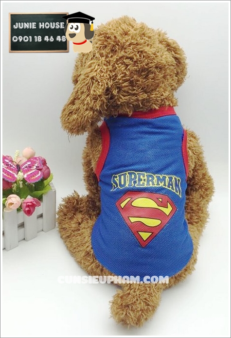 Junie House chuyên cung cấp quần áo, phụ kiện cho thú cưng: Trang phục superman, cướp biển, minions, áo thun lưới cho chó mèo | 0901.18.46.48