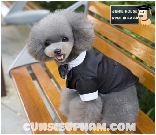 Junie House chuyên cung cấp quần áo cho chó, quần áo chó mèo, áo vest cho chó mèo nhỏ... Hotline 0901 18 46 48