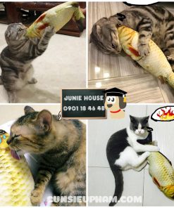 Junie House chuyên cung cấp quần áo cho chó, quần áo chó mèo, đồ chơi cho chó mèo, đồ chơi cá chép cho chó mèo... Hotline 0901 18 46 48