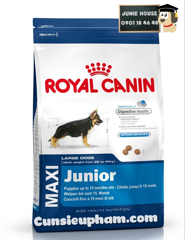 Junie House chuyên cung cấp quần áo cho chó, quần áo chó mèo, đồ chơi cho chó mèo, thức ăn cho chó royal canin maxi junior... Hotline 0901 18 46 48