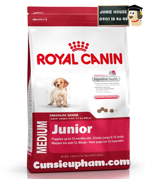 Junie House chuyên cung cấp quần áo cho chó, quần áo chó mèo, đồ chơi cho chó mèo, thức ăn cho chó royal canin medium junior... Hotline 0901 18 46 48