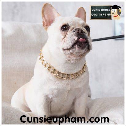 Junie House chuyên cung cấp quần áo cho chó, quần áo chó mèo, đồ chơi cho chó mèo, dây chuyền xích mạ vàng cho chó... Hotline 0901 18 46 48