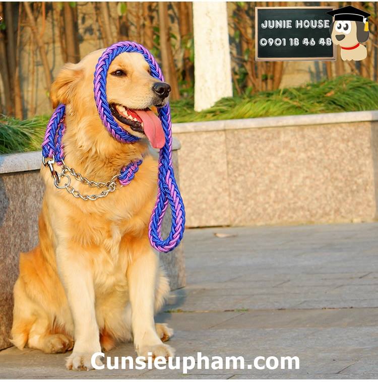 Junie House chuyên cung cấp quần áo cho chó, quần áo chó mèo, đồ chơi cho chó mèo, dây dắt bện bản to cho chó lớn ... Hotline 0901 18 46 48