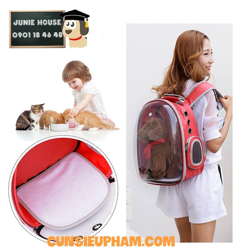 Junie House chuyên cung cấp quần áo cho chó, quần áo chó mèo,, balo phi hành gia cho cún mèo nhỏ... Hotline 0901 18 46 48