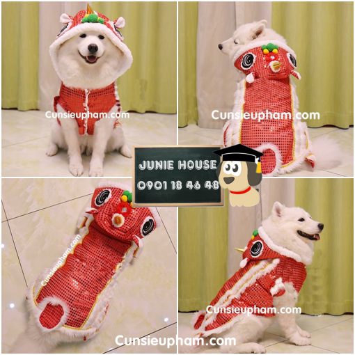 Junie House chuyên cung cấp quần áo cho chó, quần áo chó mèo, đồ lân cho chó mèo... Hotline 0901 18 46 48