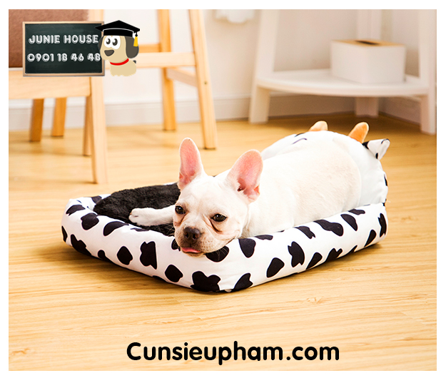 Junie House chuyên cung cấp quần áo cho chó, quần áo chó mèo, nệm hình con bò dành cho boss... Hotline 0901 18 46 48