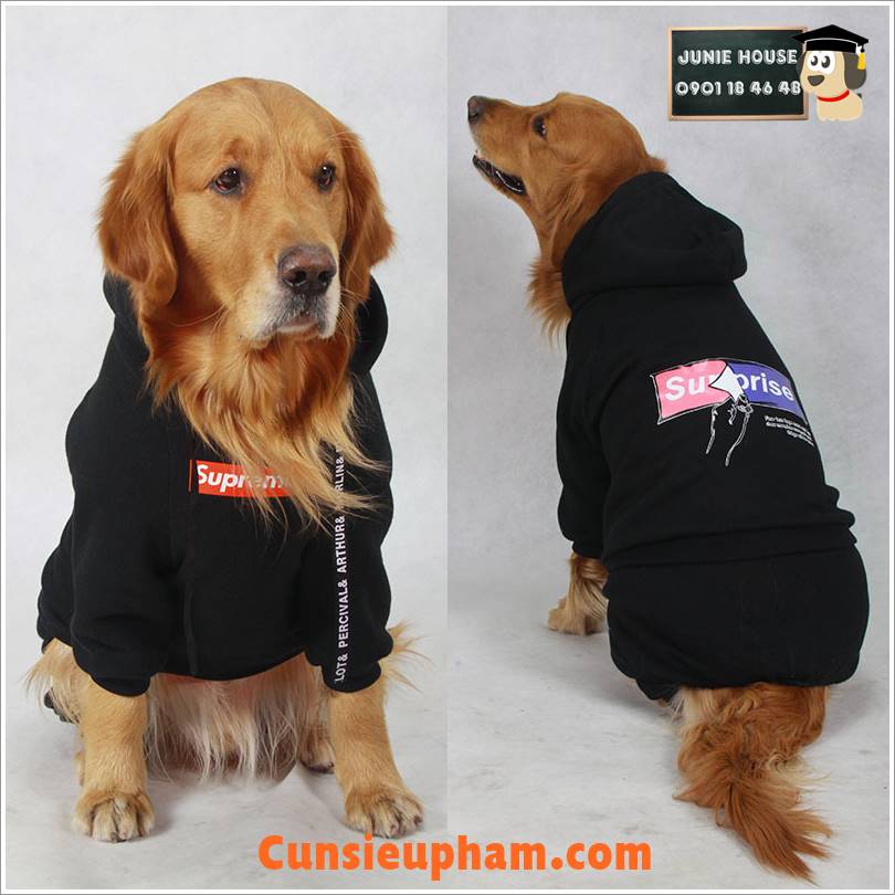 Junie House chuyên cung cấp quần áo cho chó, quần áo chó mèo, áo supreme đen dành cho chó lớn... Hotline 0901 18 46 48