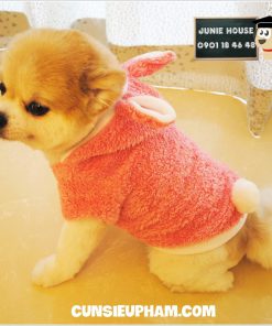 Junie House chuyên cung cấp quần áo cho chó, quần áo chó mèo, áo thỏ mùa đông cho boss... Hotline 0901 18 46 48