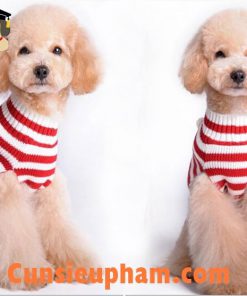 Junie House chuyên cung cấp quần áo cho chó, quần áo chó mèo, áo len ông già noel dành cho boss... Hotline 0901 18 46 48