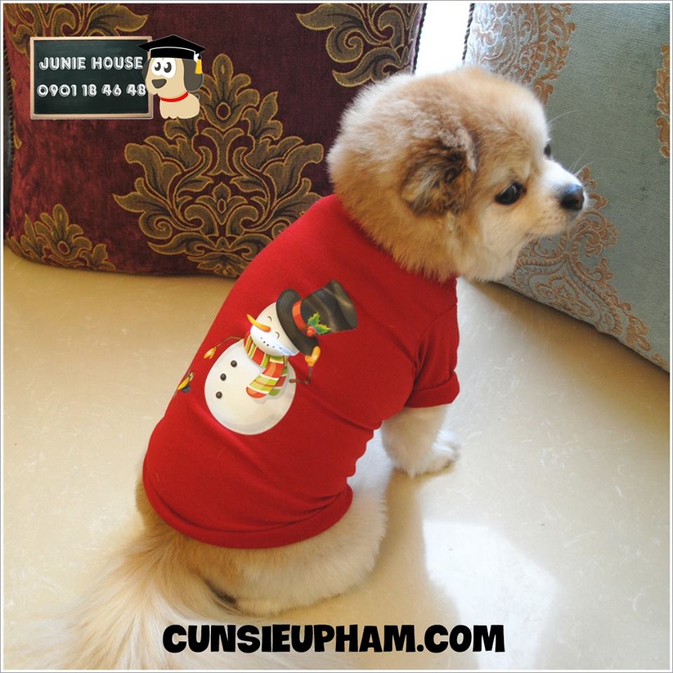 Junie House chuyên cung cấp quần áo cho chó, quần áo chó mèo, áo thun noel dành cho boss... Hotline 0901 18 46 48
