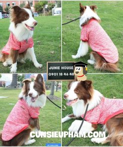 Junie House chuyên cung cấp quần áo cho chó, quần áo chó mèo, áo thun ấm áp dành cho chó lớn... Hotline 0901 18 46 48