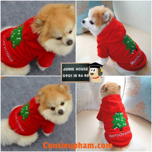 Junie House chuyên cung cấp các loại quần áo phụ kiện cho chó mèo, áo hoodie noel dành cho chó mèo ... Hotline 0901184648
