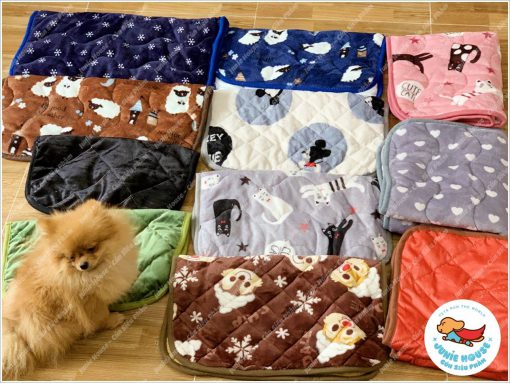 Junie House chuyên cung cấp quần áo, phụ kiện cho thú cưng: Trang phục superman, cướp biển, minions, khăn nệm mỏng dành cho chó mèo | 0901.18.46.48
