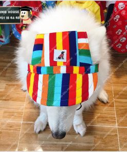 Junie House chuyên cung cấp quần áo, phụ kiện cho thú cưng: Trang phục superman, cướp biển, minions, nón lưỡi trai dành cho chó mèo | 0901.18.46.48