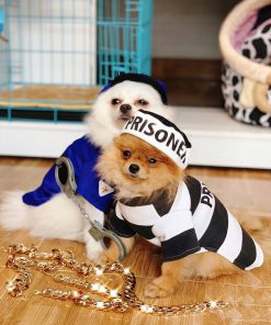 Junie House chuyên cung cấp quần áo, phụ kiện cho thú cưng: Trang phục superman, cướp biển, minions, áo hoodie supreme dành cho chó mèotrang phục cosplay prisoner dành cho chó mèo01.18.46.48