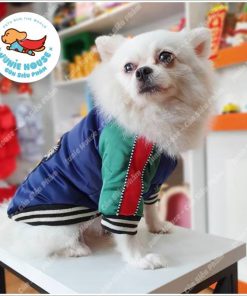Junie House chuyên cung cấp quần áo, phụ kiện cho thú cưng: Trang phục superman, cướp biển, minions, áo khoác Gucci dành cho chó mèo | 0901.18.46.48