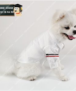 Junie House chuyên cung cấp quần áo, phụ kiện cho thú cưng: Trang phục superman, cướp biển, minions, áo sơ mi T-Browne dành cho chó mèo | 0901.18.46.48